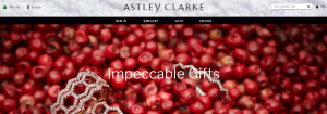 Voucher Codes Astley Clarke 