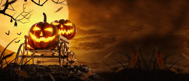 Flaunt your Halloween Enthusiasm with Amazing Discounts! Flaunt your Halloween Enthusiasm with Amazing Discounts!