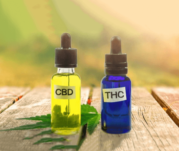 Top Reasons to Change from THC to CBD?