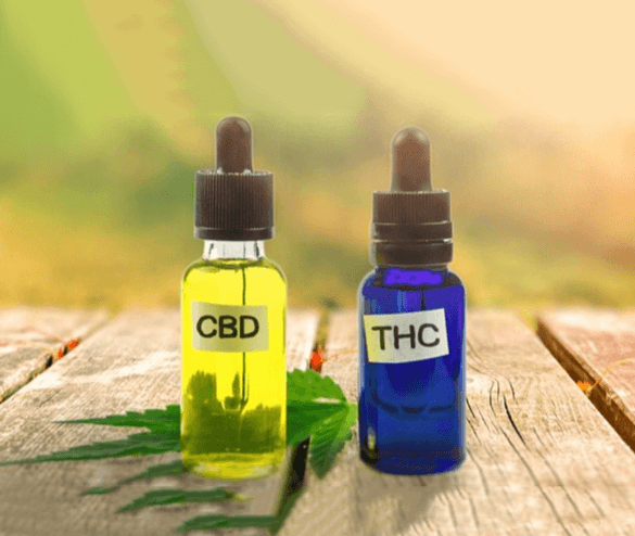 Top Reasons to Change from THC to CBD? Top Reasons to Change from THC to CBD?