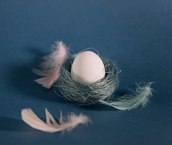 Top 3 Easter Essentials; All Set & Sorted Top 3 Easter Essentials; All Set & Sorted