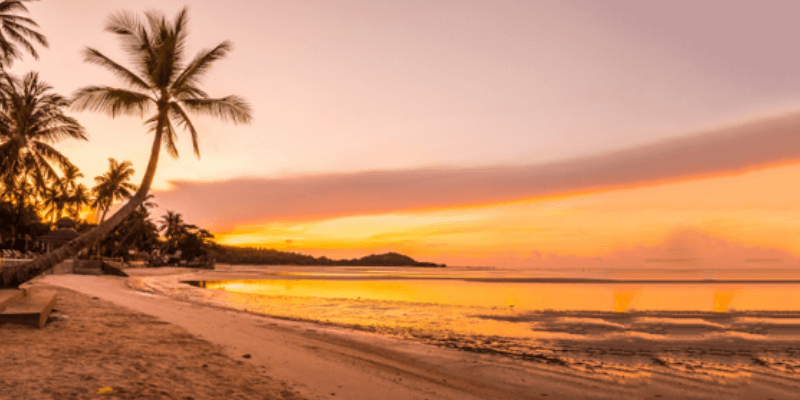 Goa: The Official Party Capital Of India – Travel Guide Goa: The Official Party Capital Of India – Travel Guide