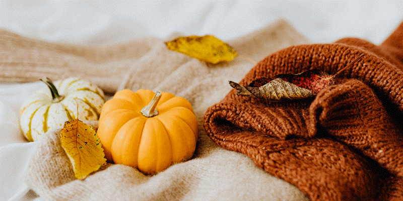Eco-Friendly Trick or Treat Ideas for Halloween 2021 Eco-Friendly Trick or Treat Ideas for Halloween 2021