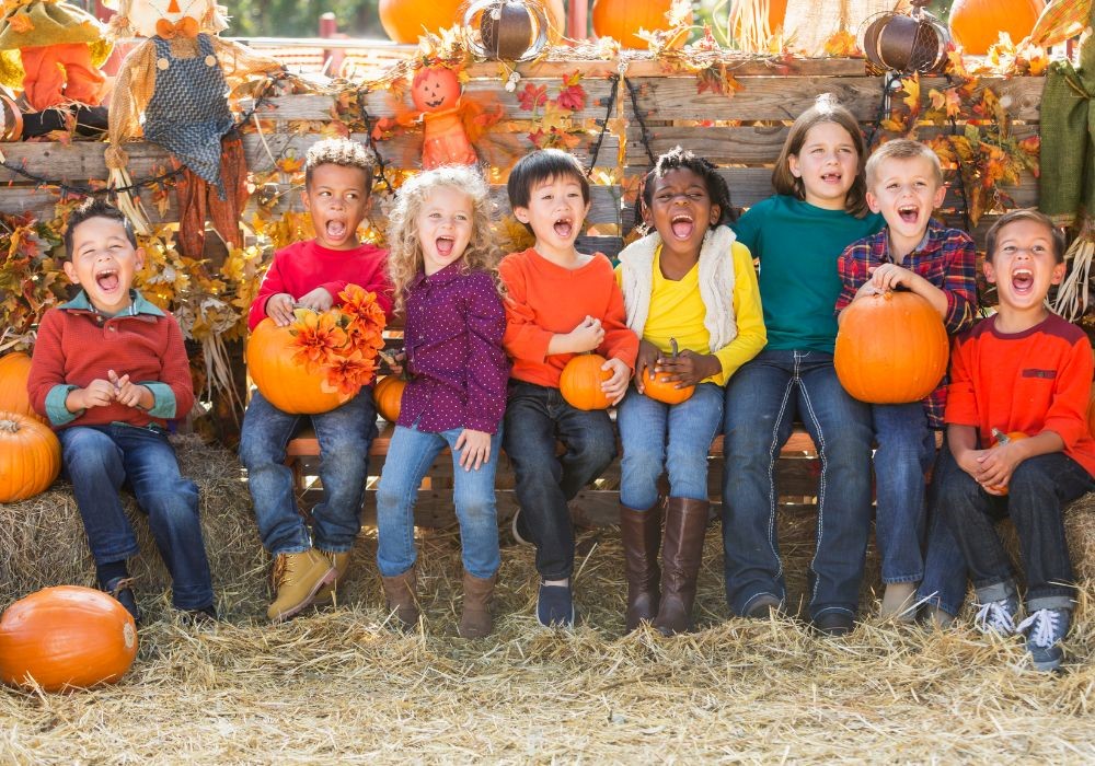 How to Enjoy Fall Festival on the Budget