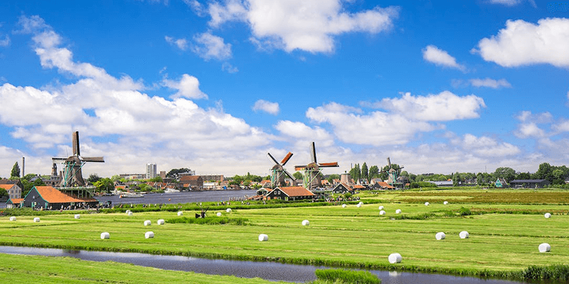 5 Unique and Amazing Things to Do in Amsterdam