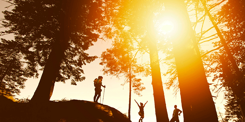 Planning a Hiking Trip: Essential Safety Tips for Students