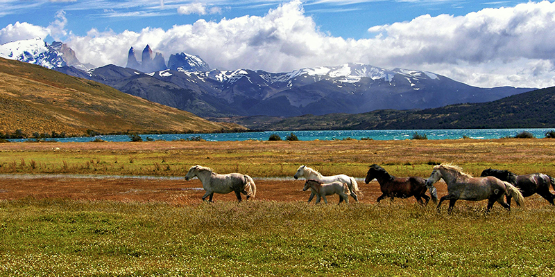 <strong>Wanderlust Unleashed: 10 Scenic Destinations to Explore This New Year</strong> <strong>Wanderlust Unleashed: 10 Scenic Destinations to Explore This New Year</strong>